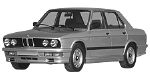 BMW E28 C247A Fault Code